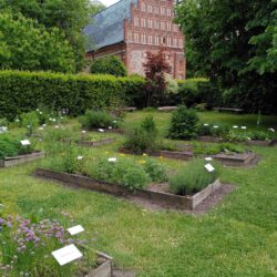 Offener Garten im Kloster Stift