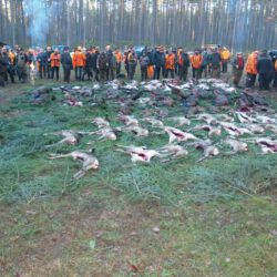 Hubertusmesse und Hubertusjagd