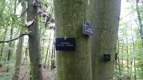 Gedenktafel im Bestattungswald Heiligengrabe