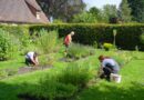 Im Kräutergarten – Ora et Labora 2007