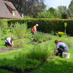 Im Kräutergarten – Ora et Labora 2007