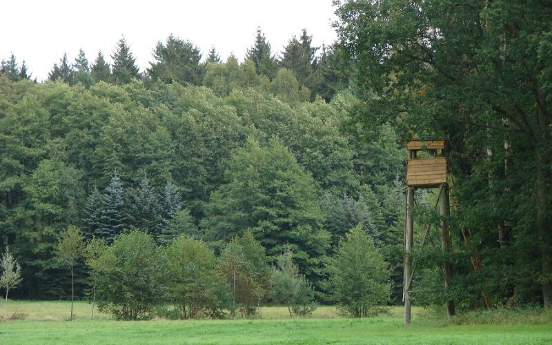 Stiftsforst Jagdansitz